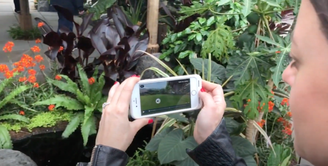 New York Botanical Garden (NYBG)